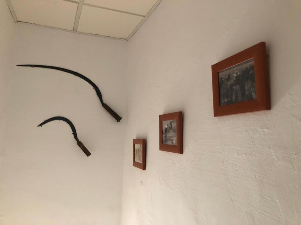 Masia Tarranc Els Muntells Ngoại thất bức ảnh